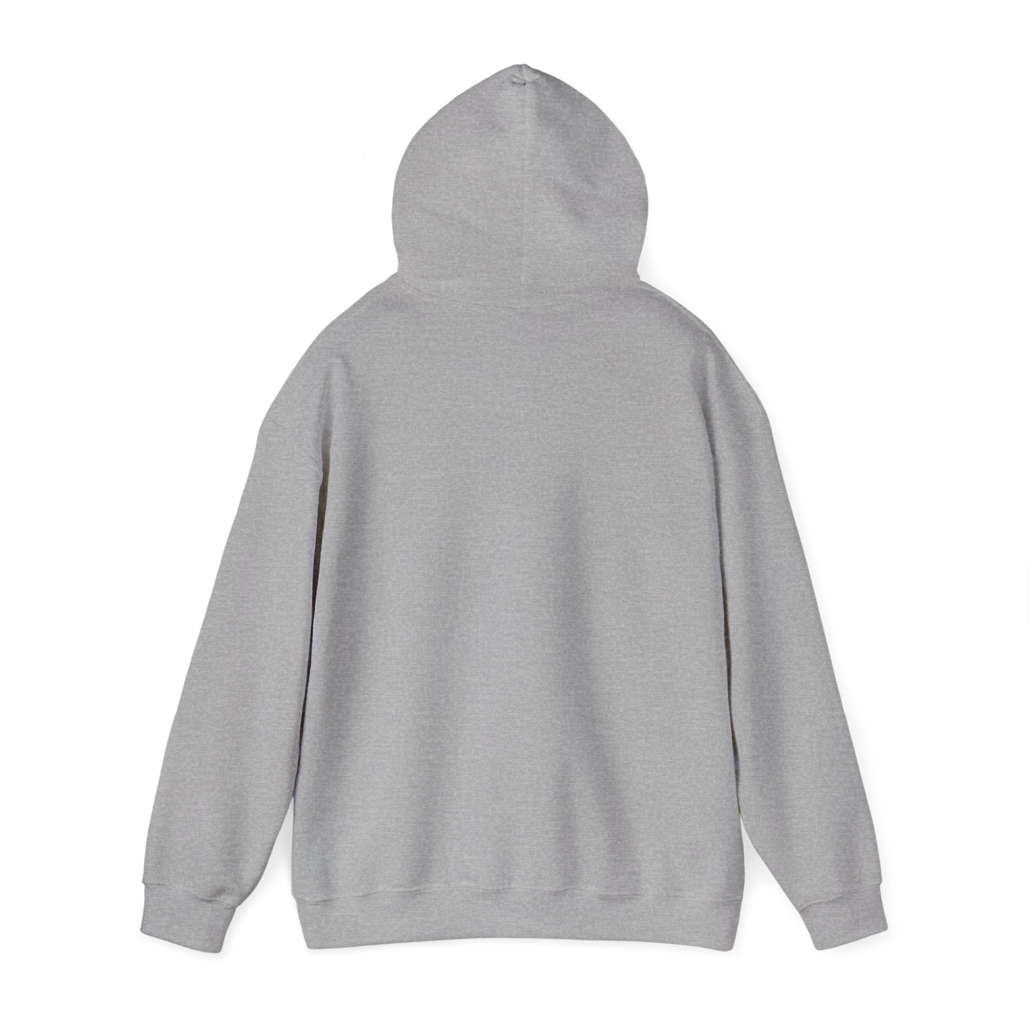 Fish.Chicago Hoodie