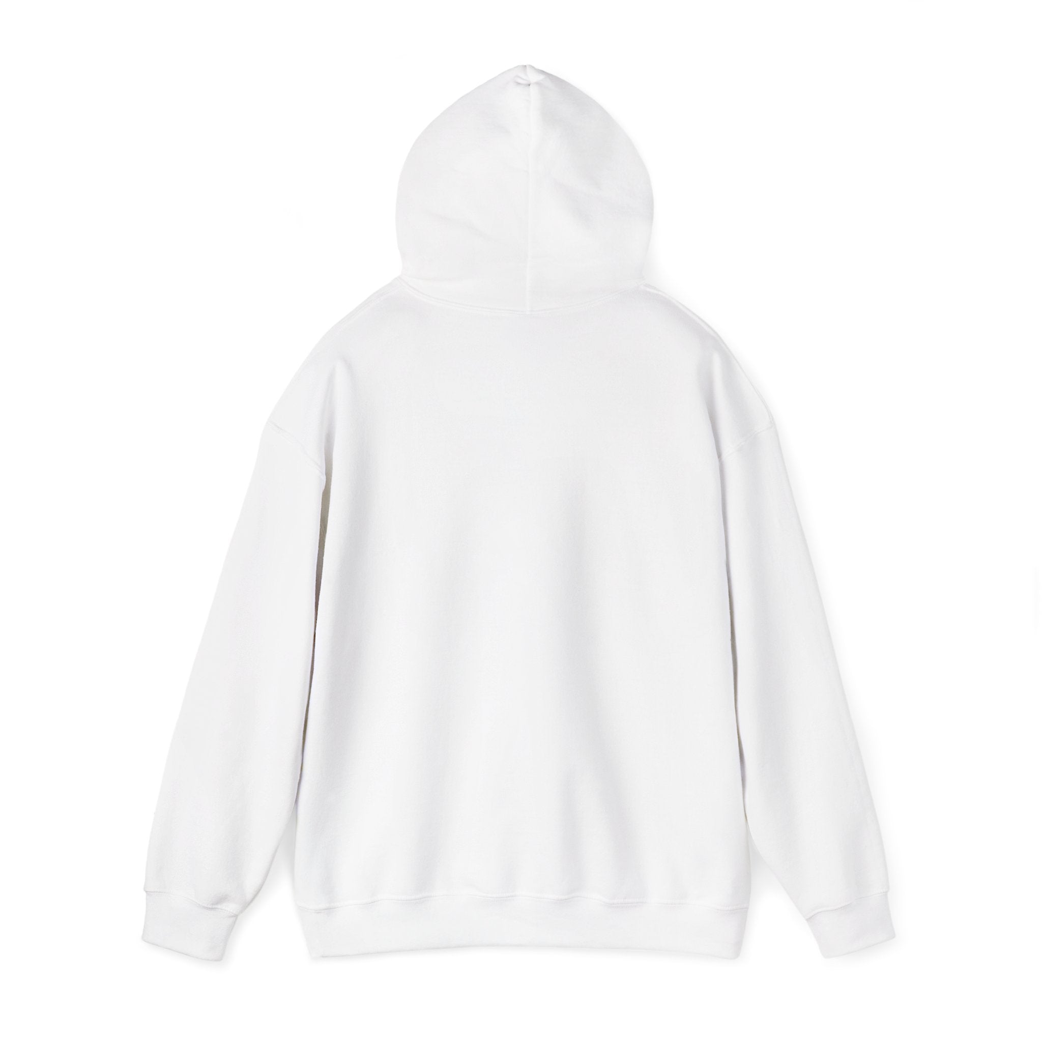 Fish.Chicago Hoodie