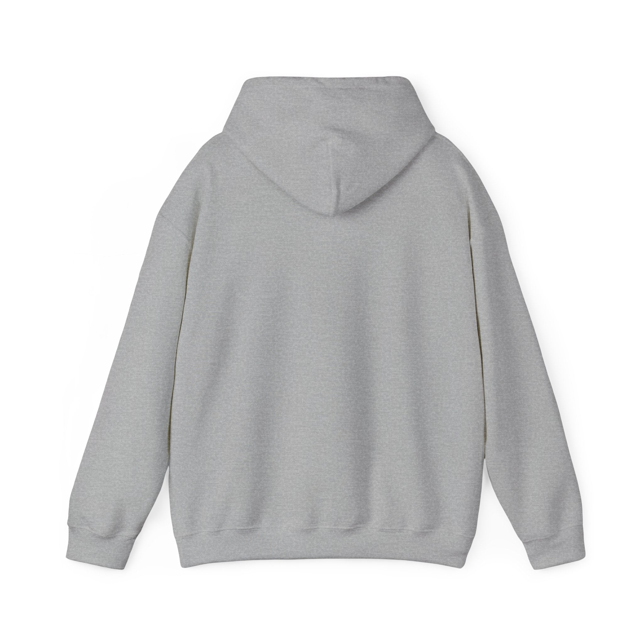 Fish.Chicago Hoodie