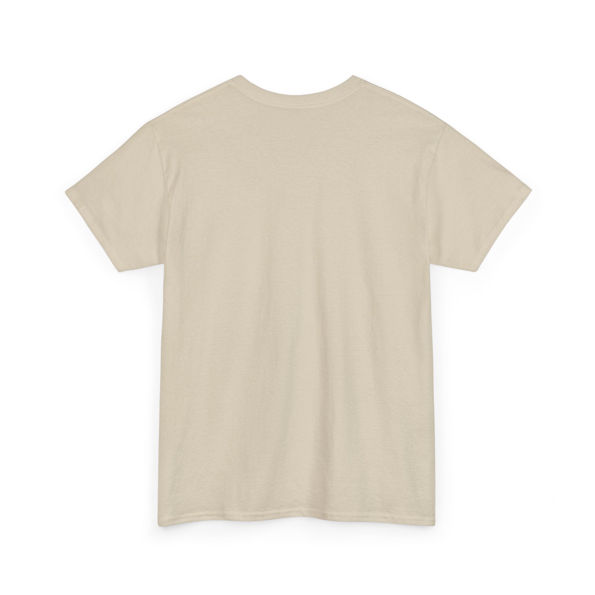 Fish.Chicago T-Shirt
