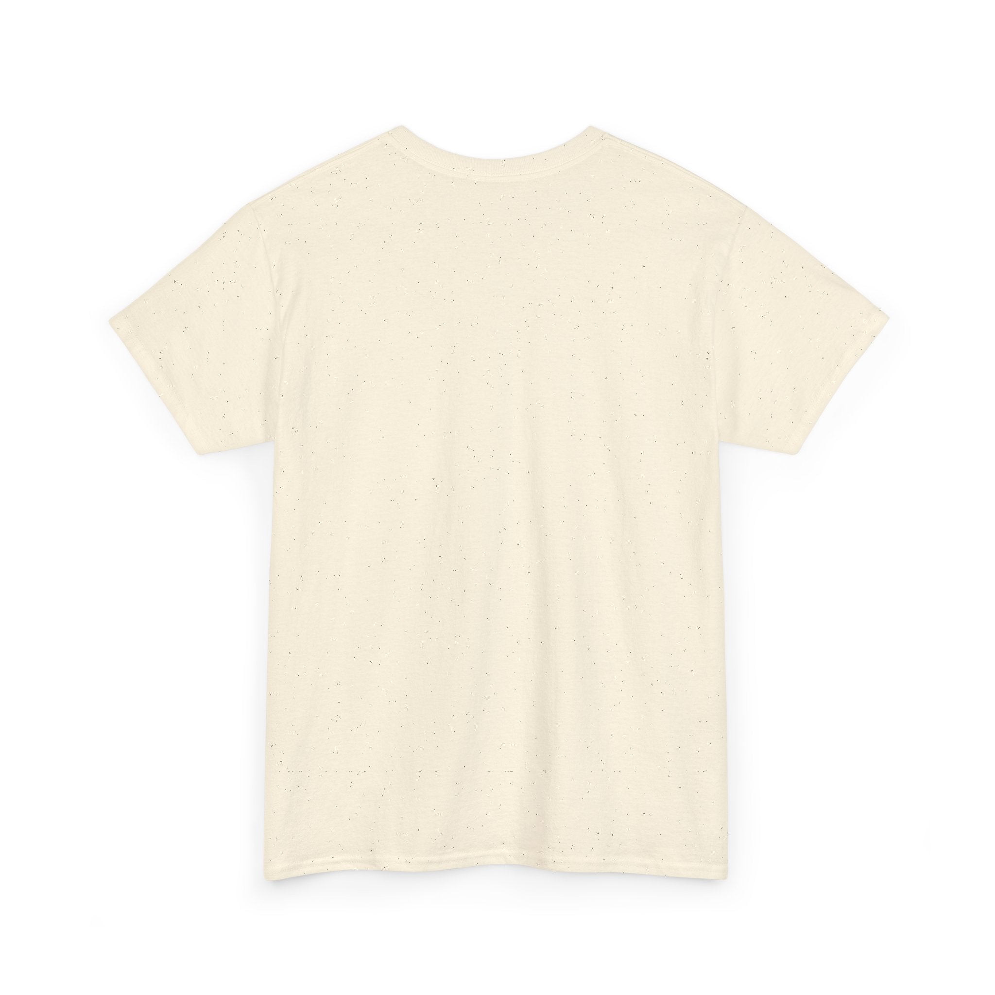 Fish.Chicago T-Shirt