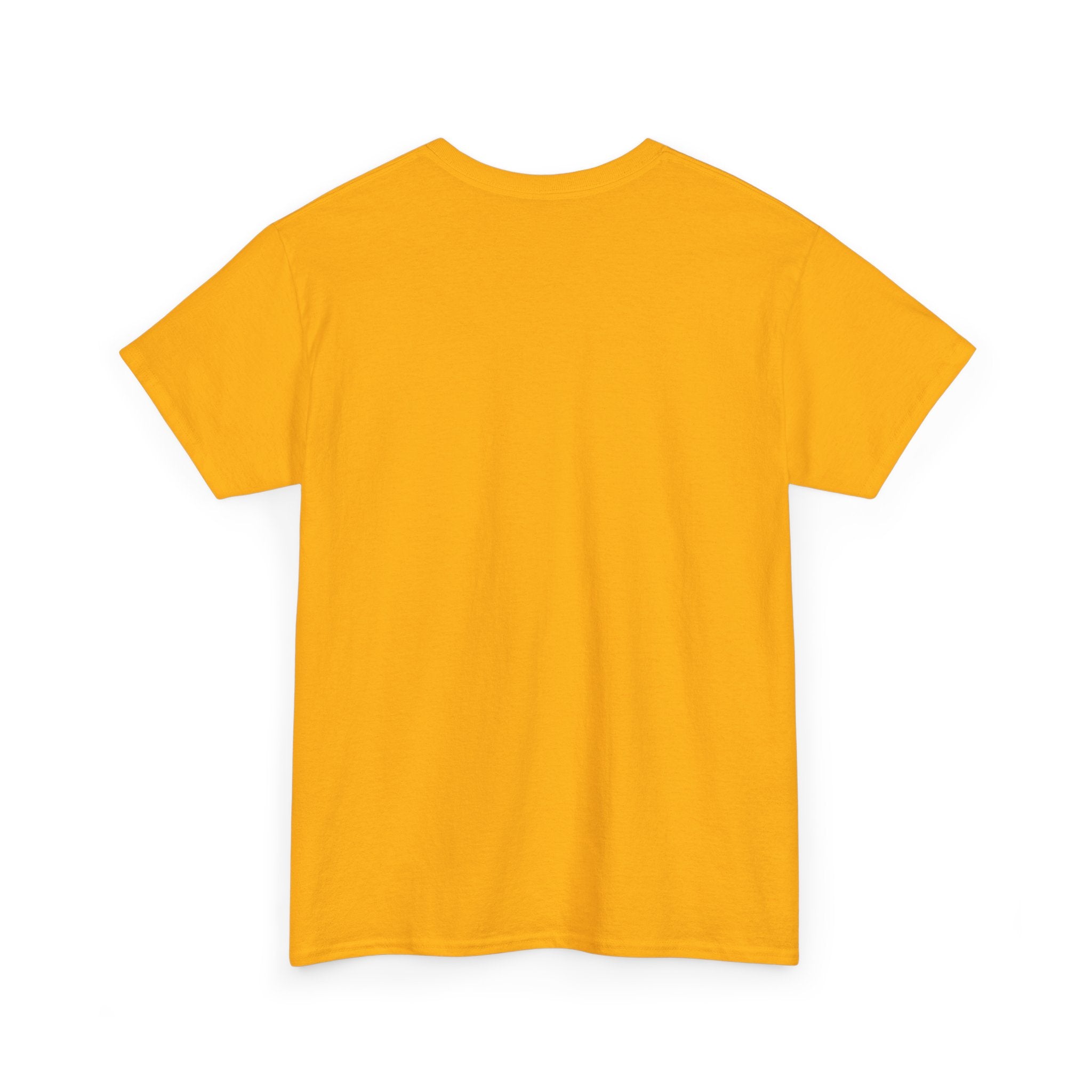 Fish.Chicago T-Shirt