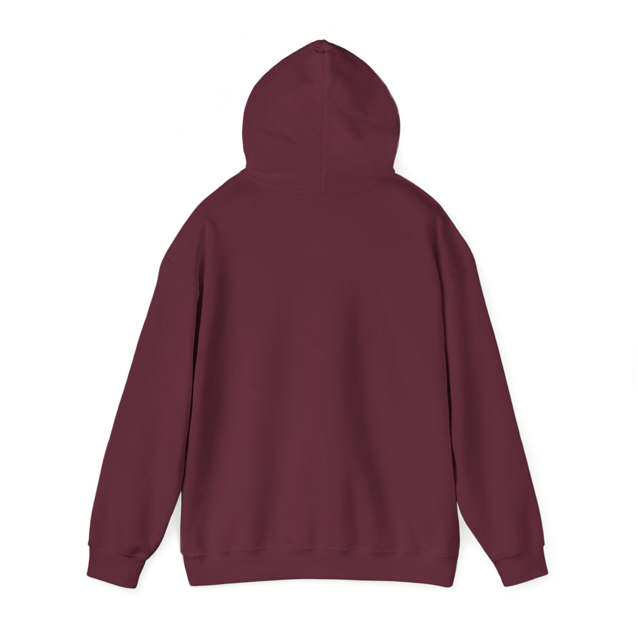 Fish.Chicago Hoodie