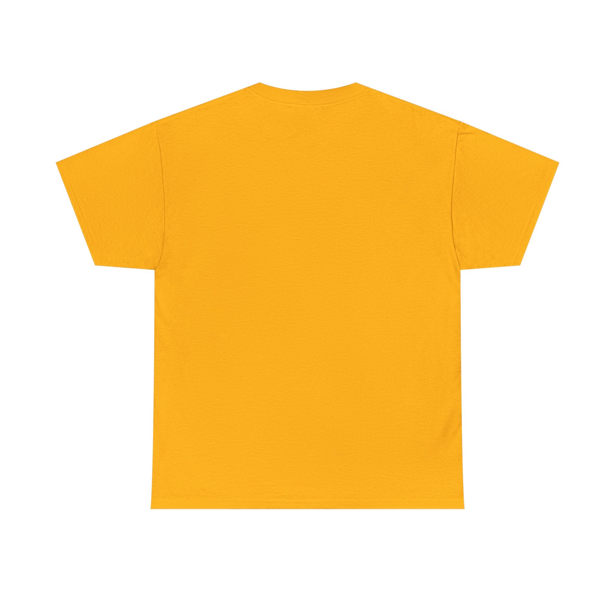 Fish.Chicago T-Shirt