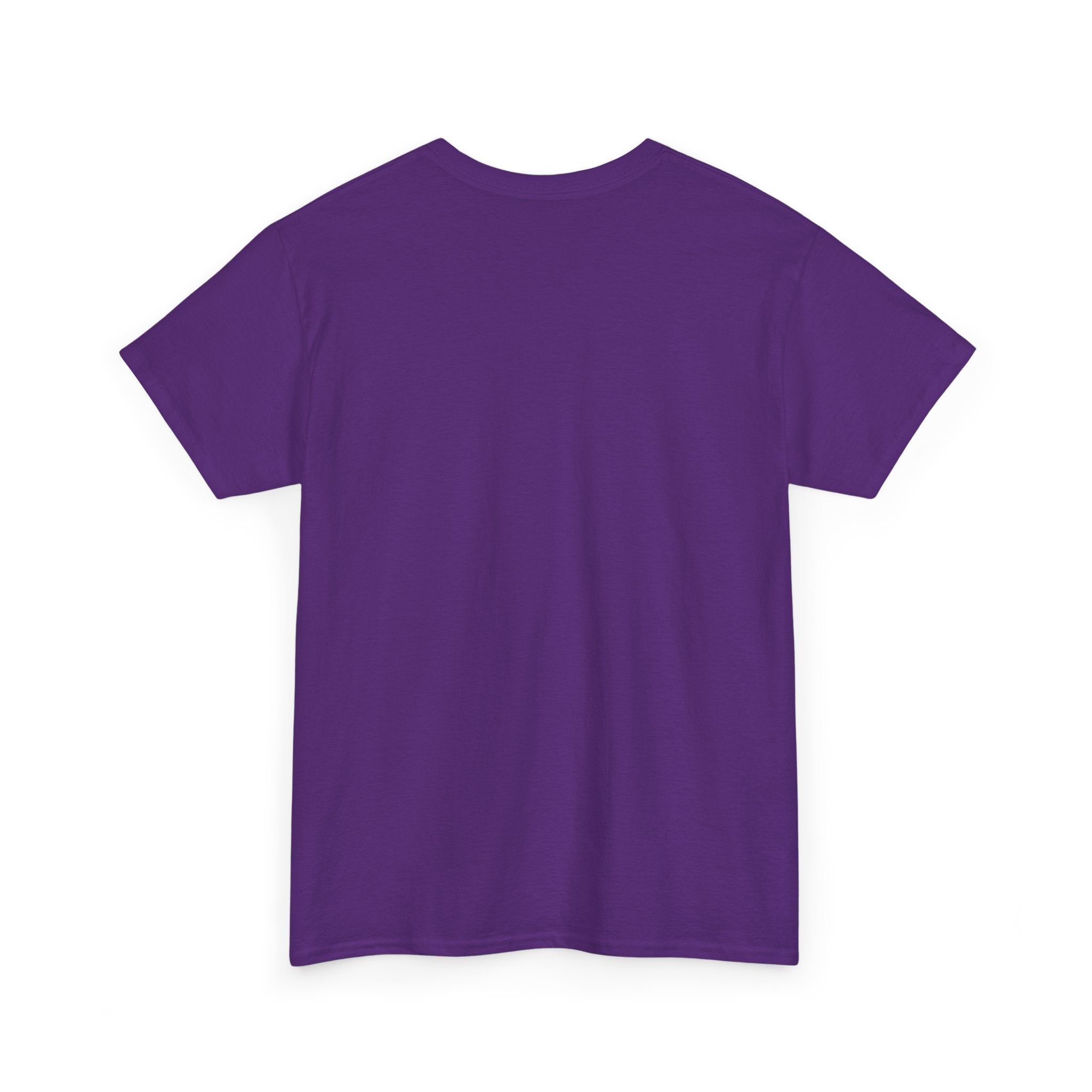 Fish.Chicago T-Shirt
