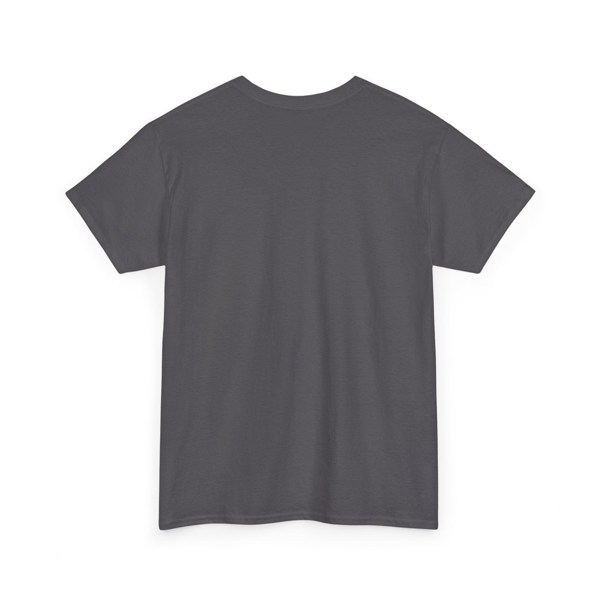Fish.Chicago T-Shirt