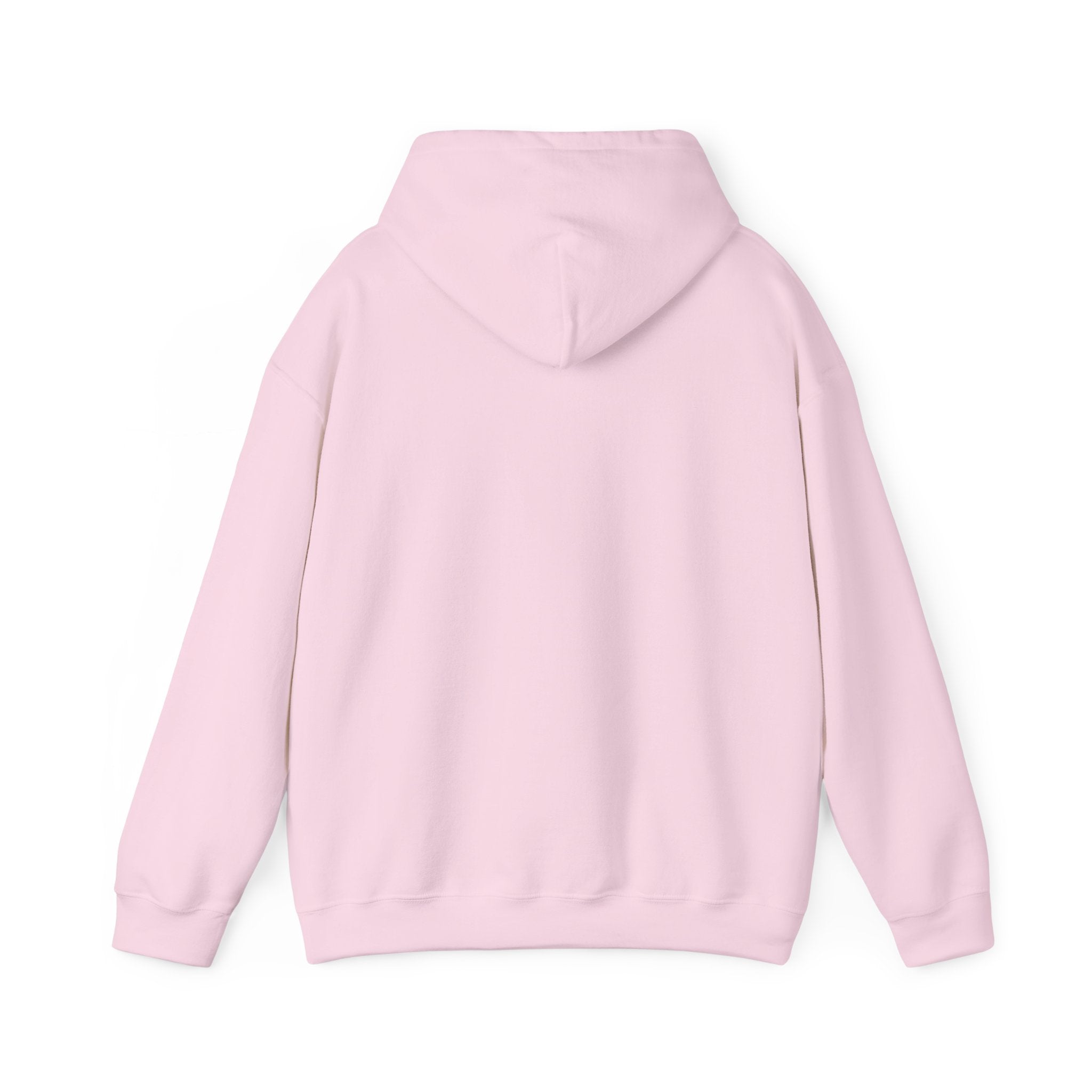 Fish.Chicago Hoodie