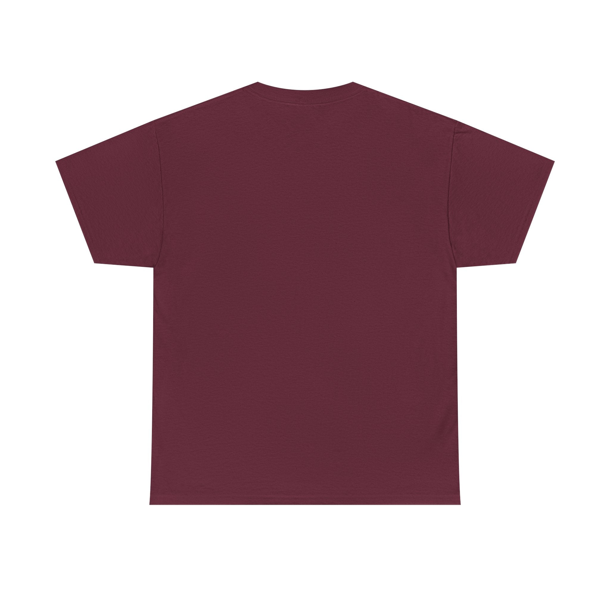 Fish.Chicago T-Shirt