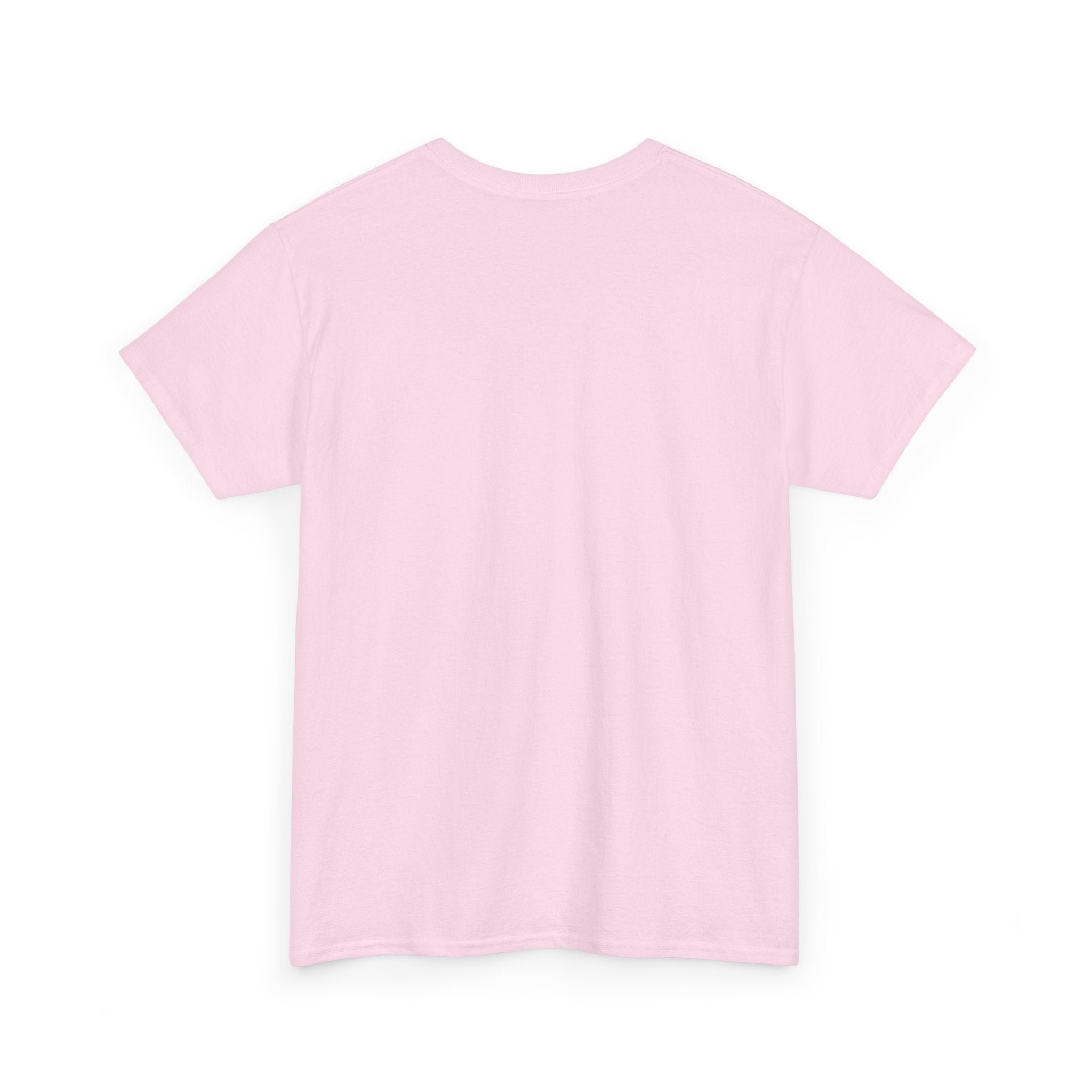 Fish.Chicago T-Shirt