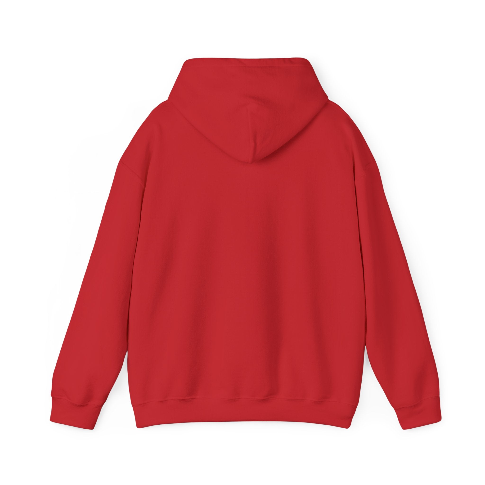 Fish.Chicago Hoodie