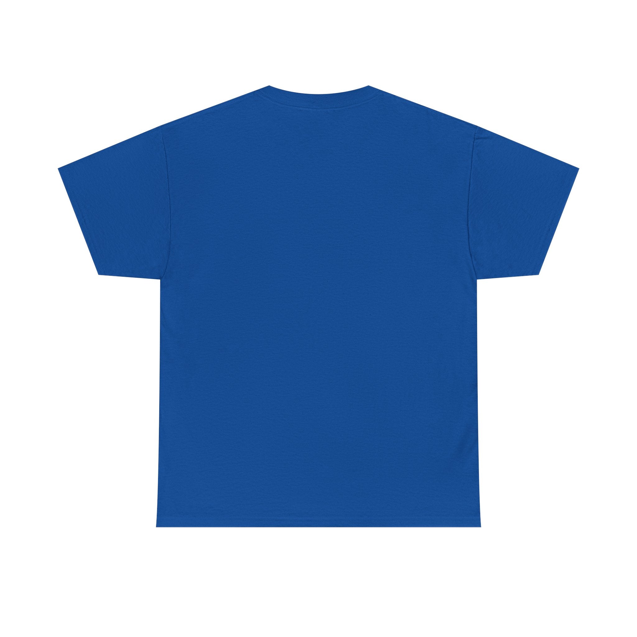 Fish.Chicago T-Shirt
