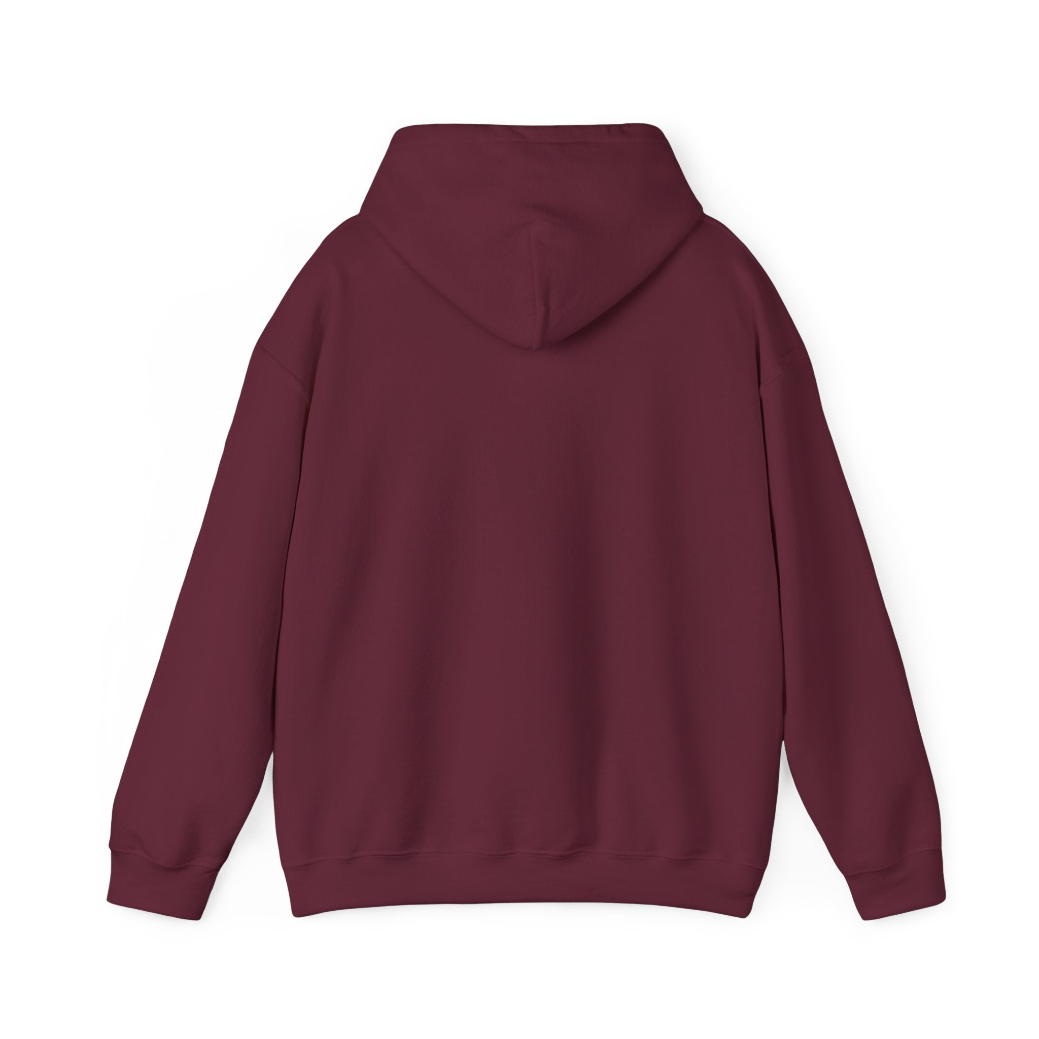 Fish.Chicago Hoodie