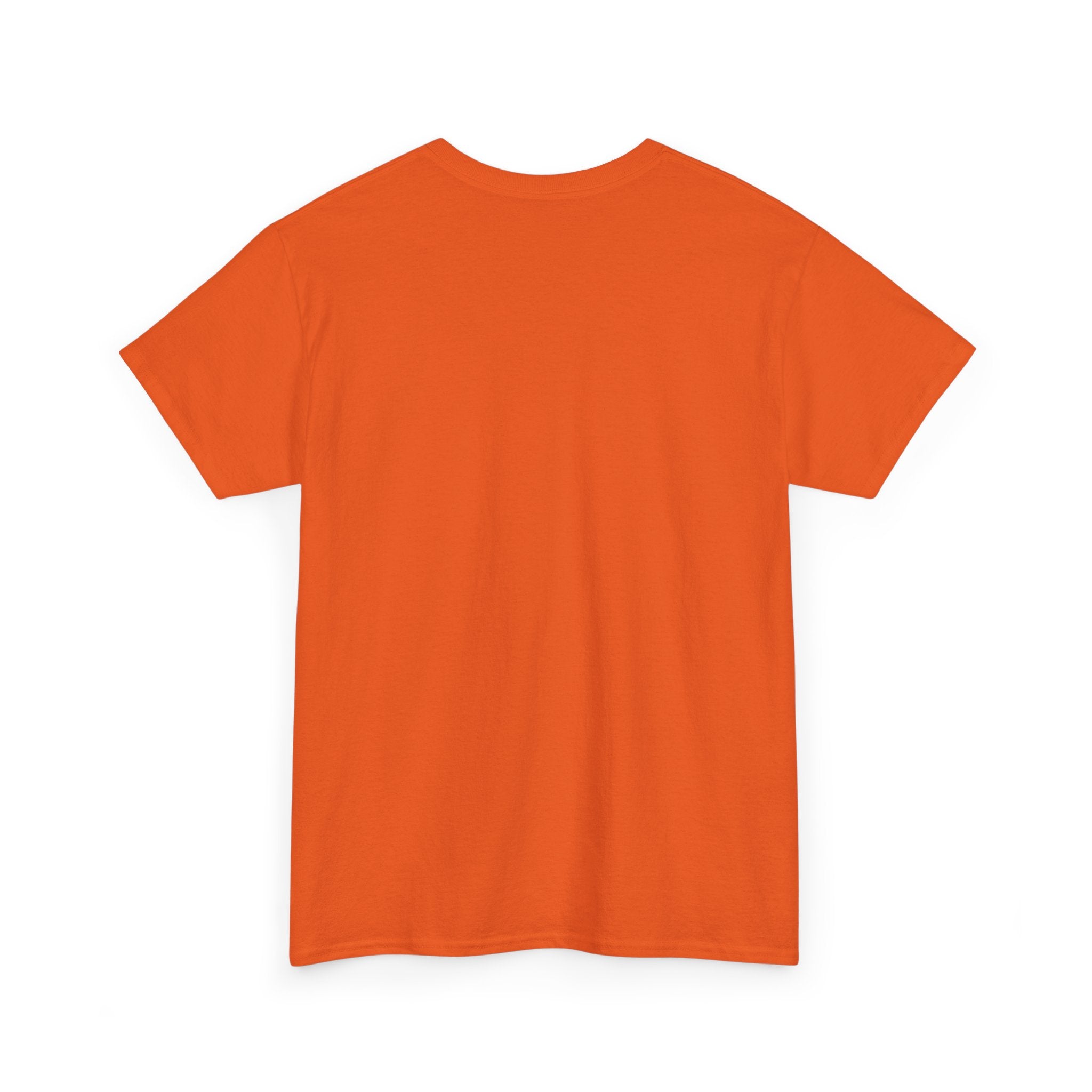 Fish.Chicago T-Shirt