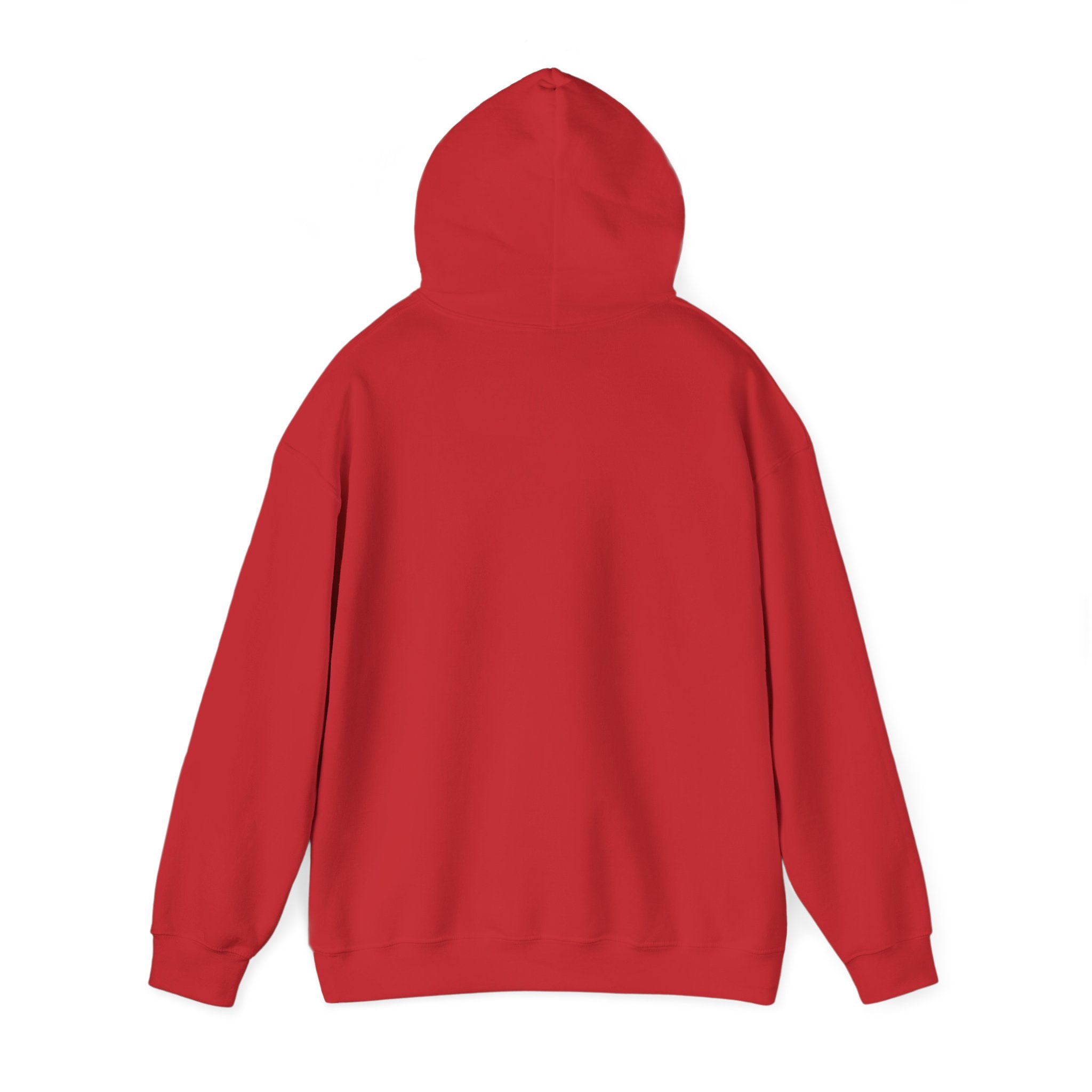 Fish.Chicago Hoodie