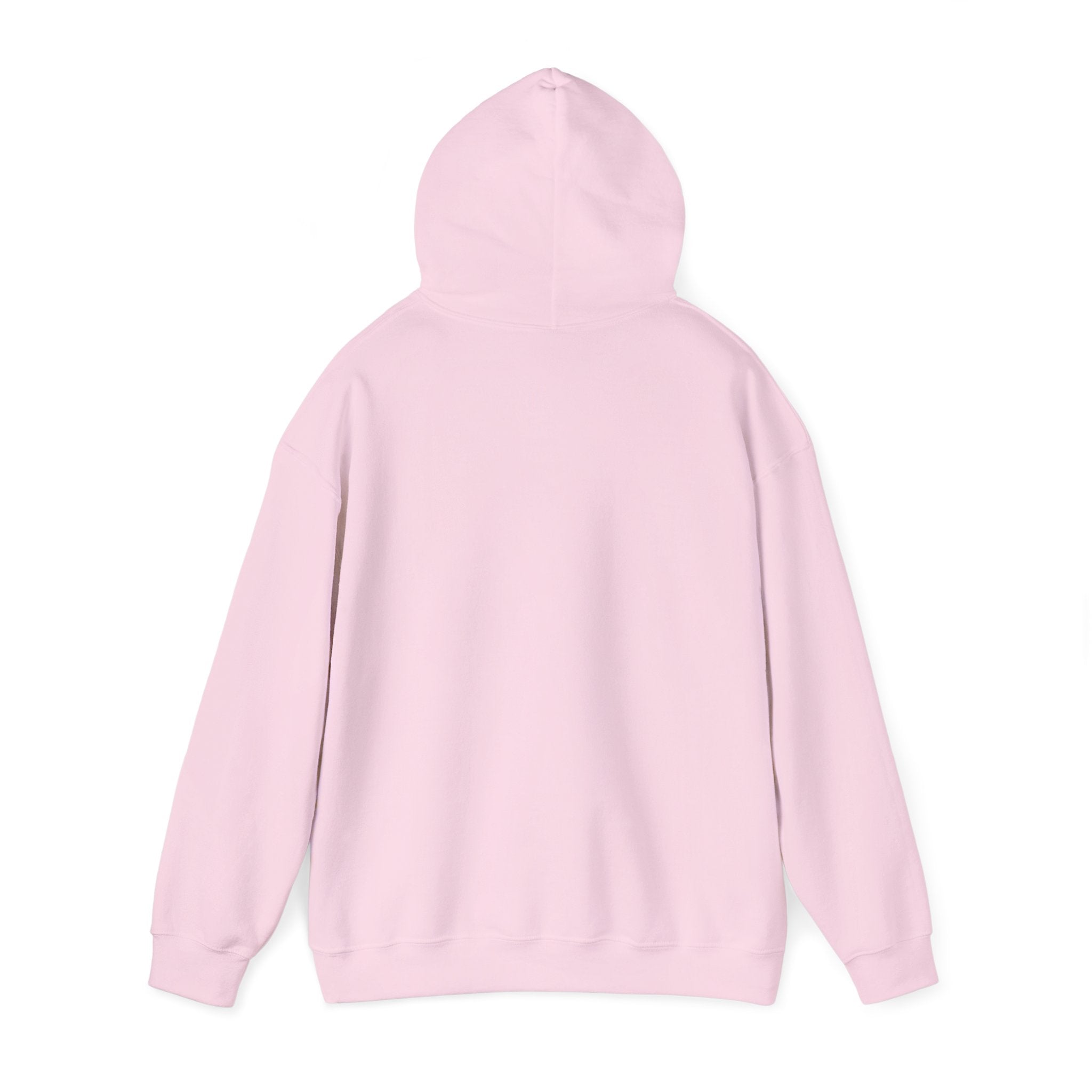 Fish.Chicago Hoodie