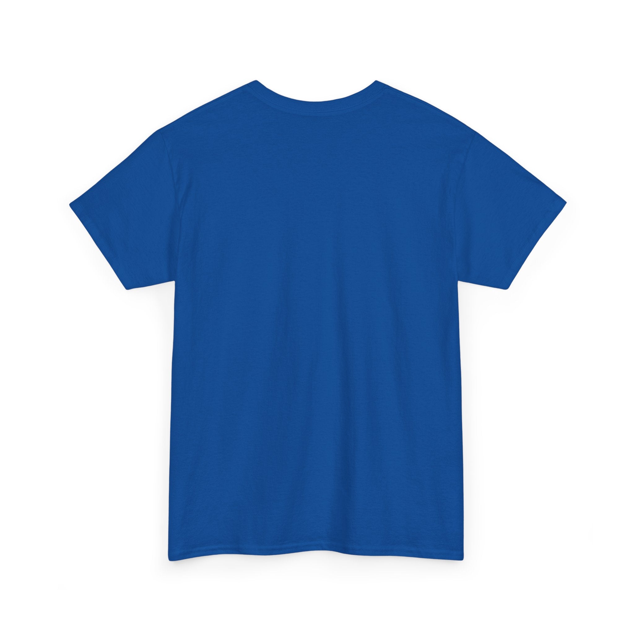 Fish.Chicago T-Shirt