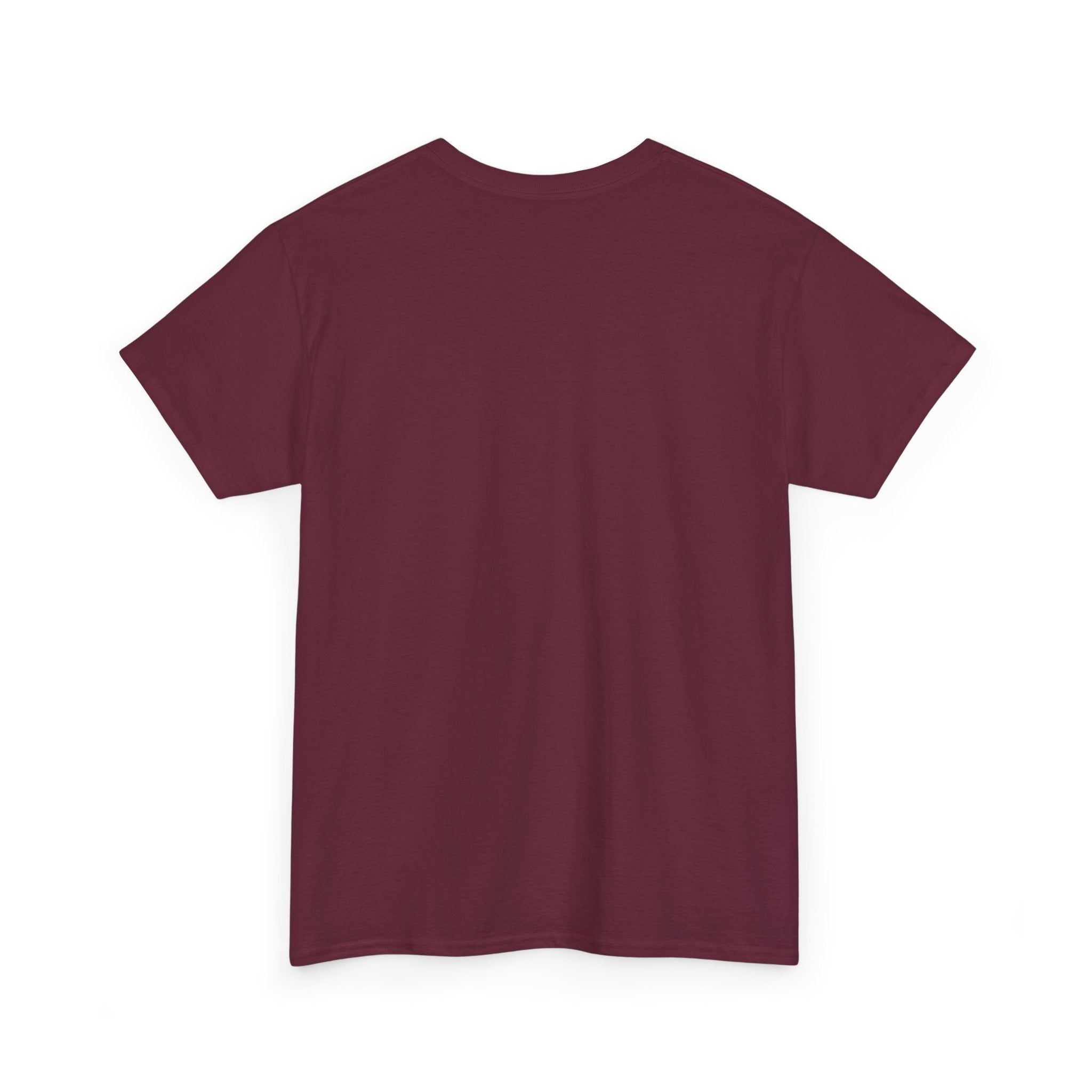 Fish.Chicago T-Shirt