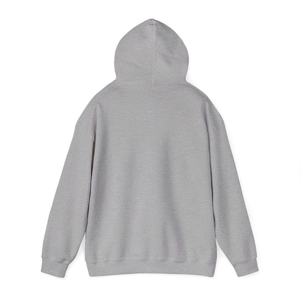 Fish.Chicago Hoodie