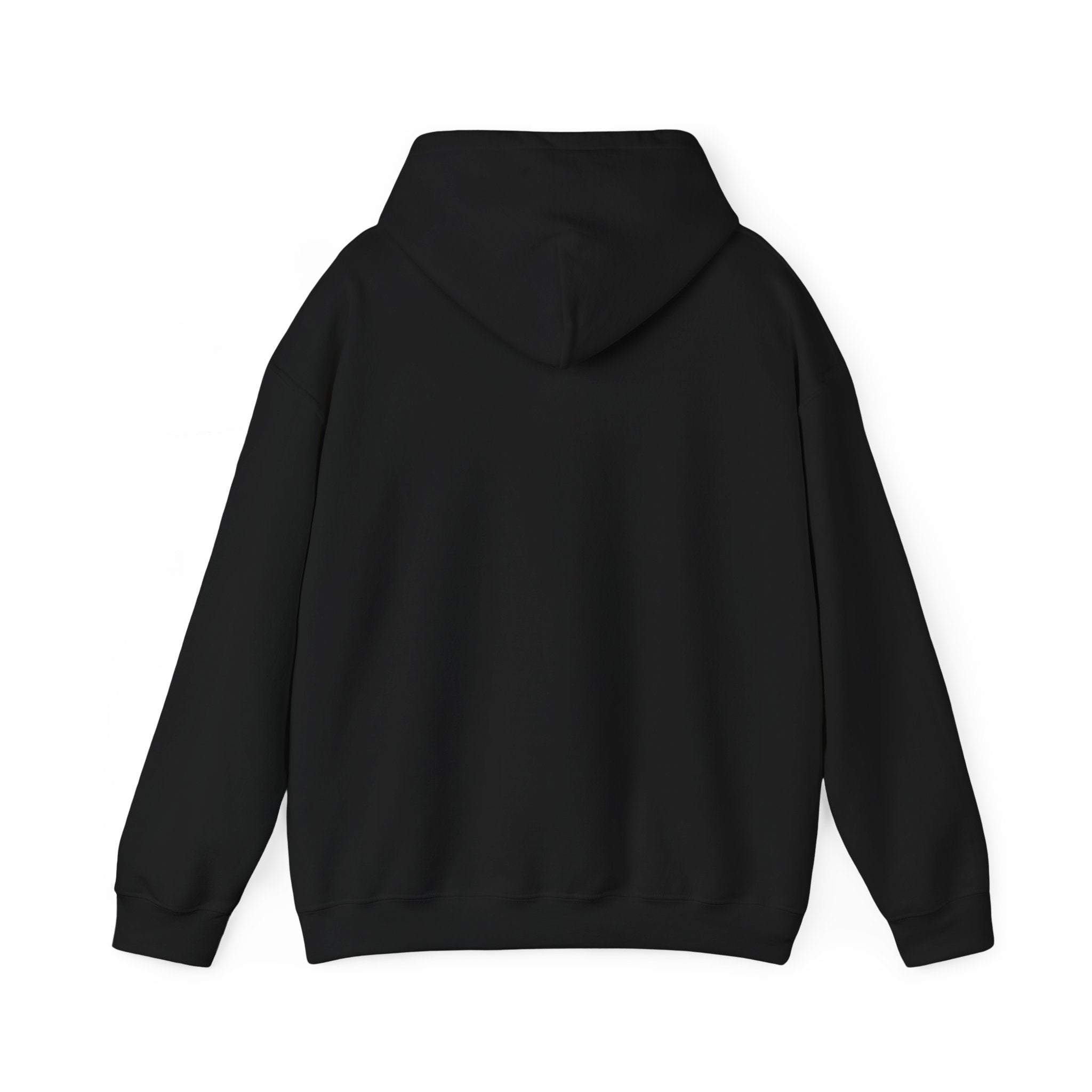 Fish.Chicago Hoodie