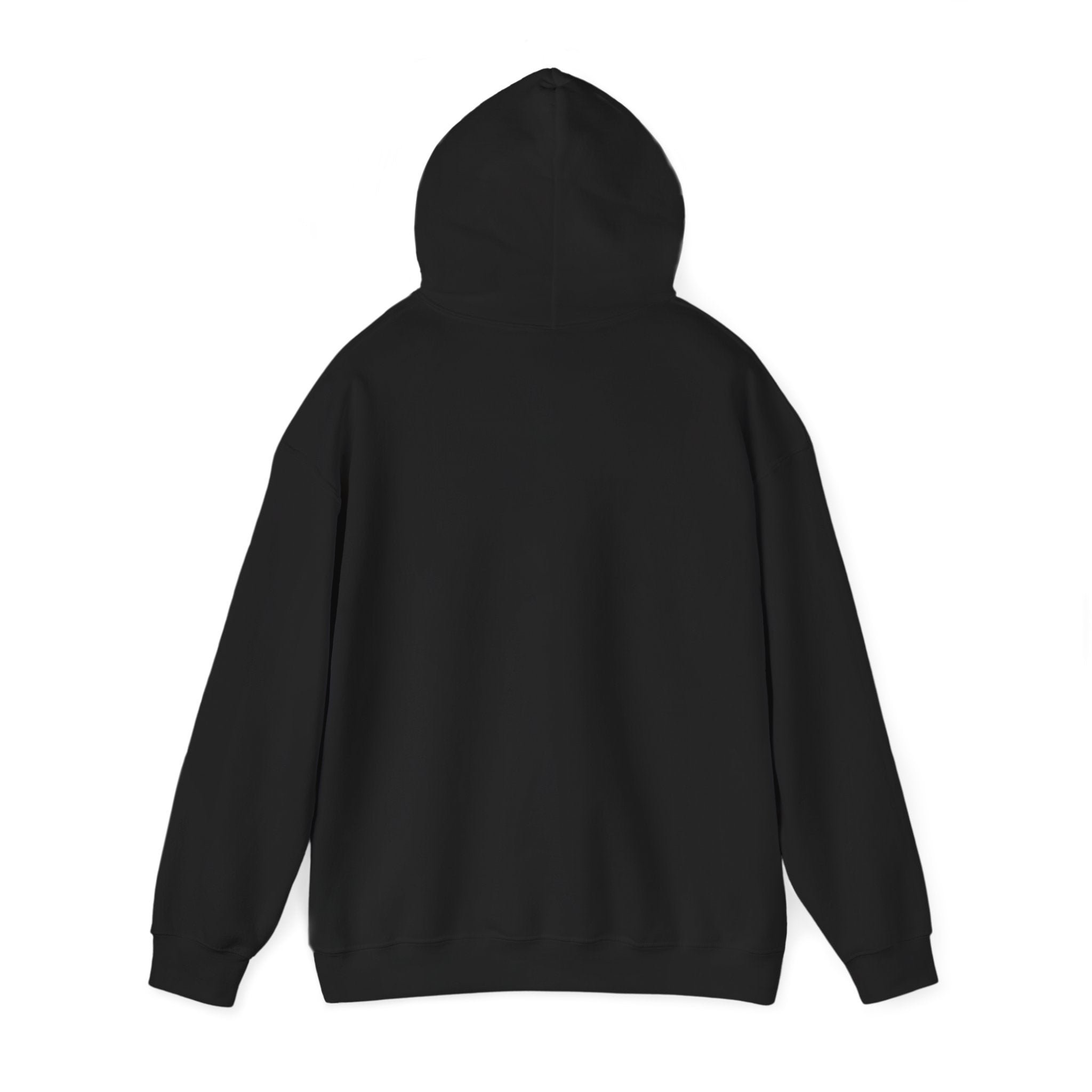 Fish.Chicago Hoodie