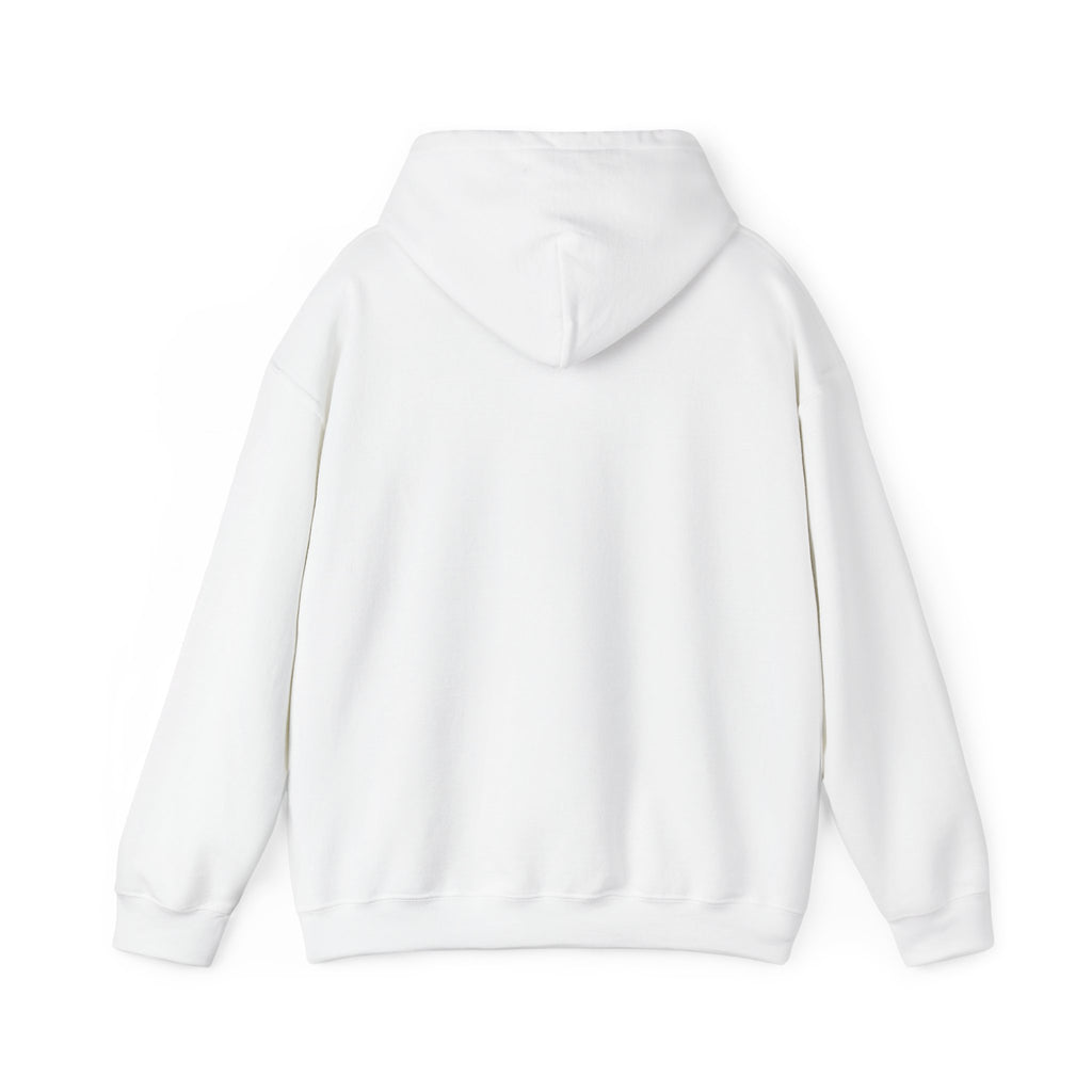 Fish.Chicago Hoodie