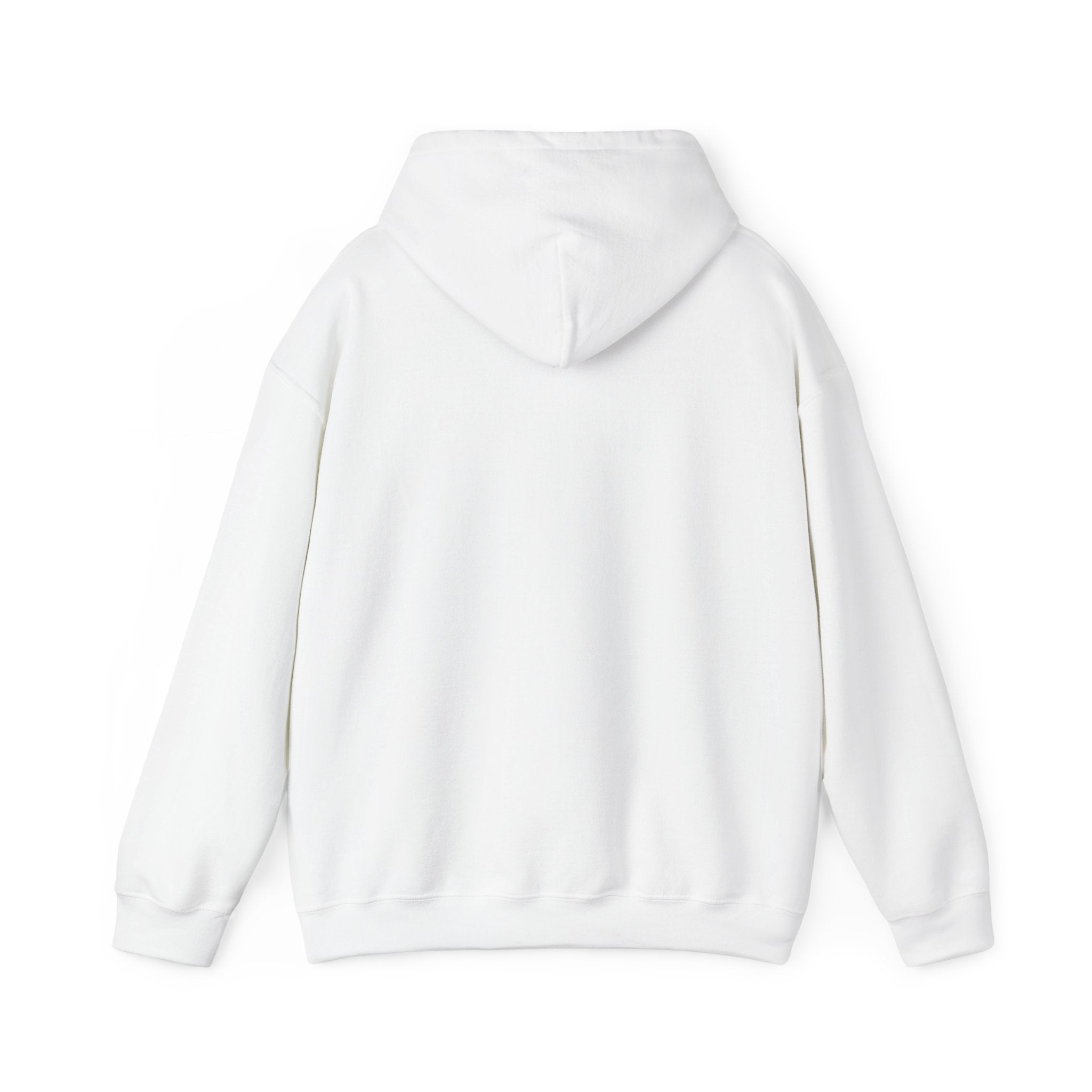 Fish.Chicago Hoodie