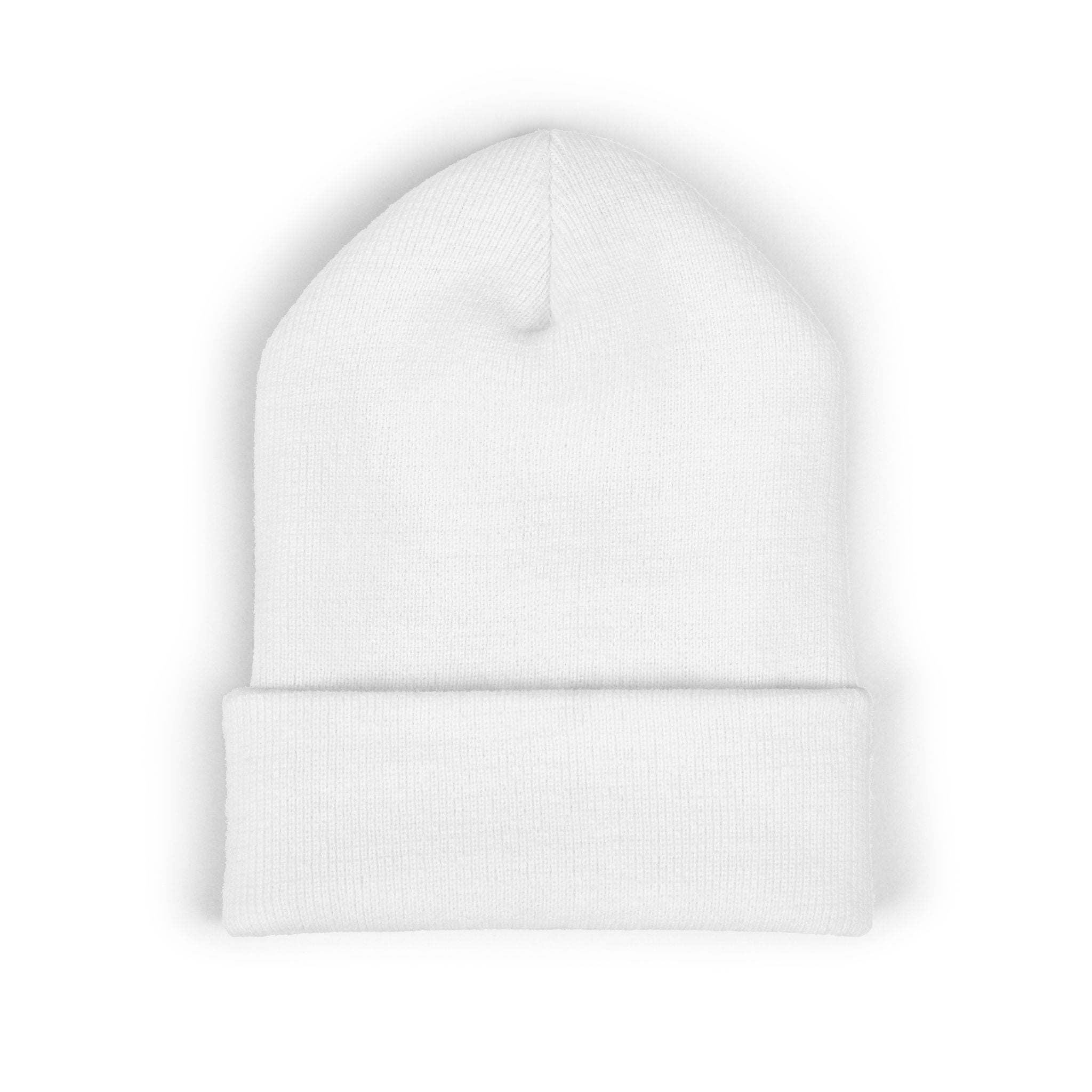 Fish.Chicago TXT Embroidered Beanie