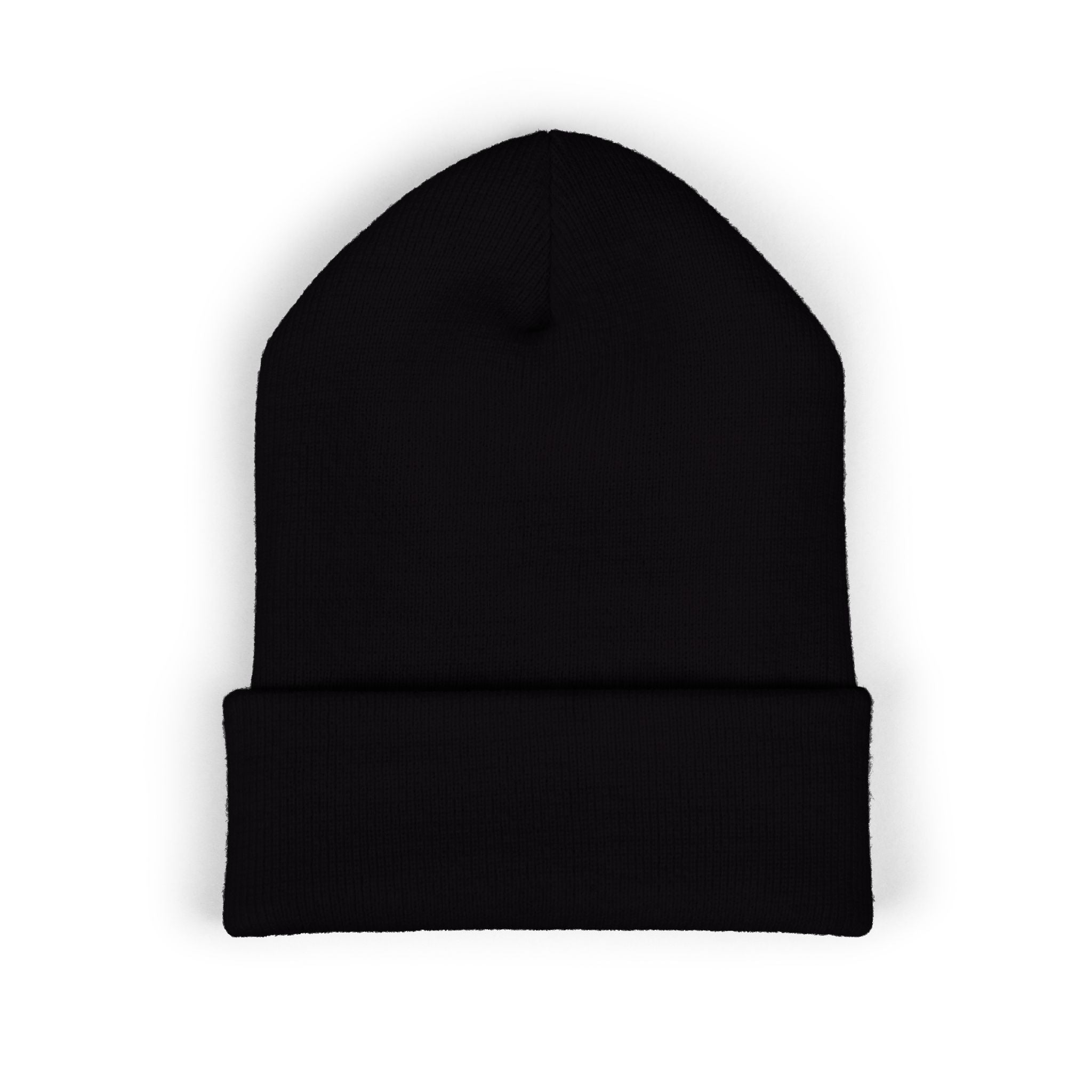 Fish.Chicago TXT Embroidered Beanie